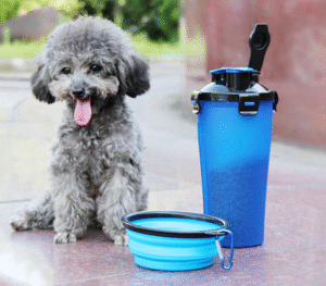 986256683119.png 2 In 1Pet Water Bottle Dispenser Travel Portable Dog Cat Drinking Silicone Bowl
